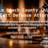 Photo of Palm Beach Criminal Defense Attorney with text regarding child neglect cases and logo