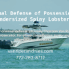 Photo of Police Boat in Florida and text regarding criminal defense of possession of undersized spiny lobster