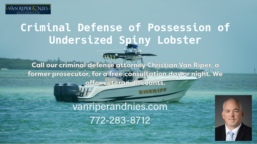 Photo of Police Boat in Florida and text regarding criminal defense of possession of undersized spiny lobster